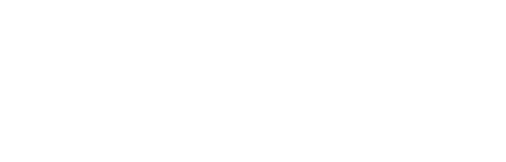 ZEBRA  L10_顯示數據設備_聚芯云物聯網智能裝備_佳帆科技